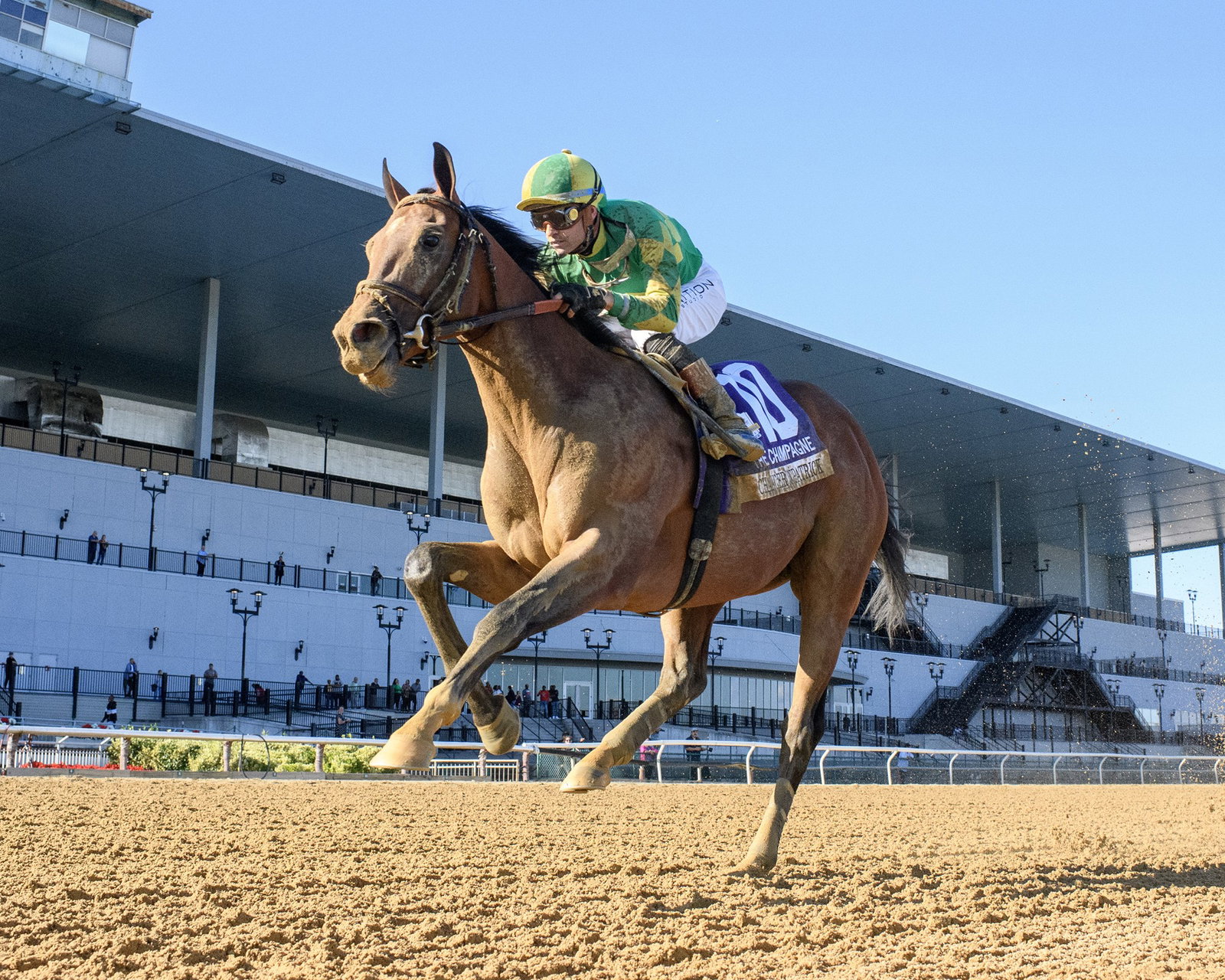 Coglianese Photography