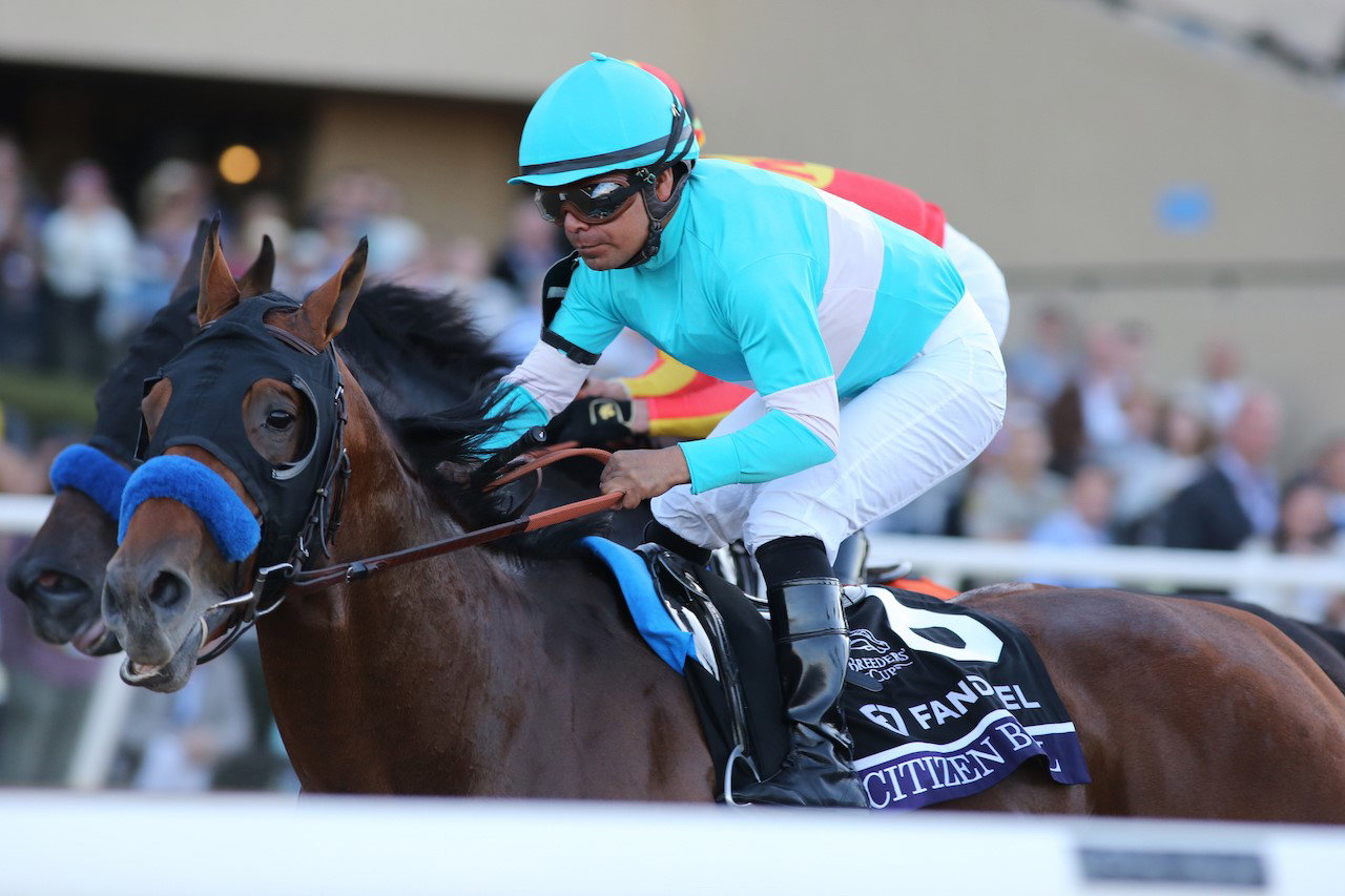 Photo by Horsephotos.com
