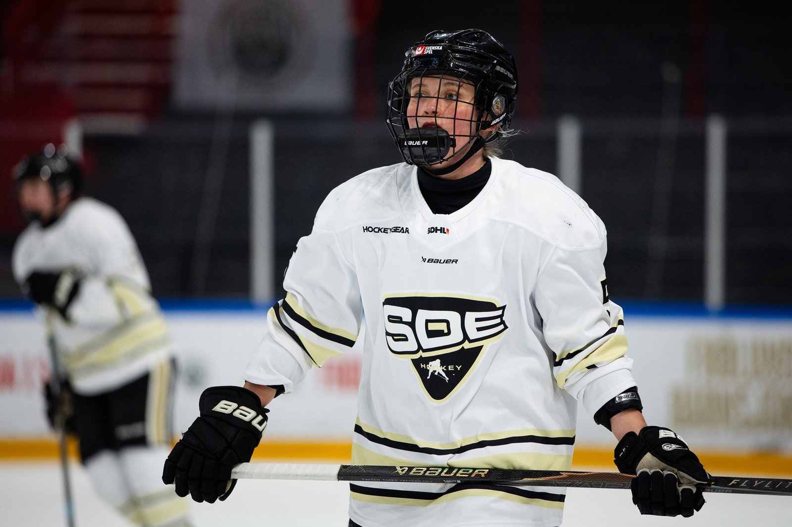 Foto: Bildbyrån/Michael Erichsen.